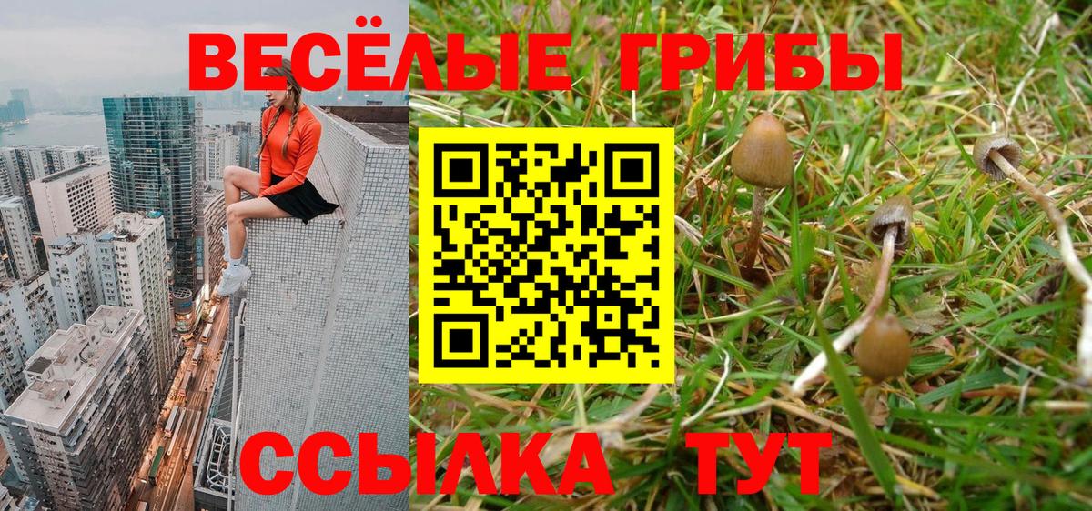 Галлюциногенные грибы ЛСД Усинск