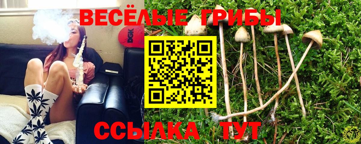 Усинск  Галлюциногенные грибы ЛСД  Вход с VPN  Псилоцибиновые грибы GOLDEN TEACHER 